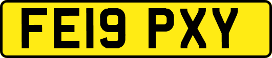 FE19PXY