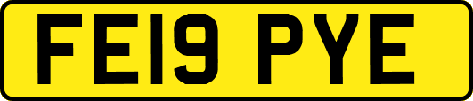 FE19PYE