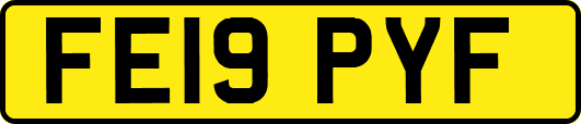 FE19PYF