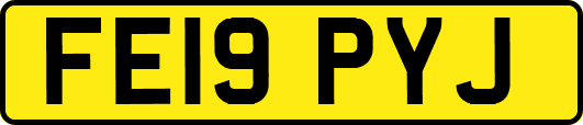 FE19PYJ