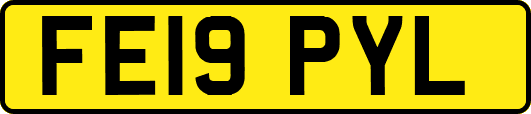 FE19PYL