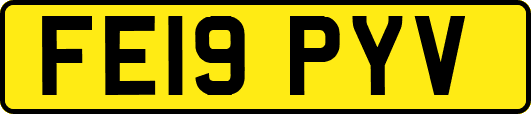 FE19PYV