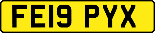 FE19PYX