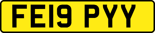 FE19PYY