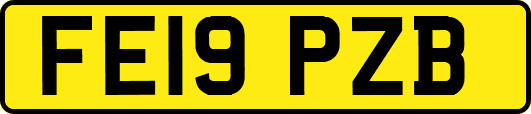 FE19PZB