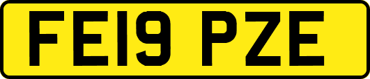 FE19PZE