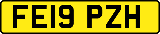 FE19PZH