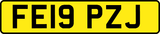 FE19PZJ