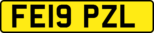 FE19PZL