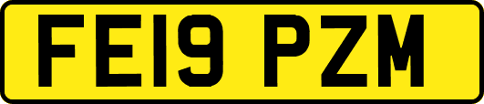FE19PZM