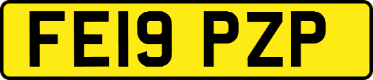 FE19PZP