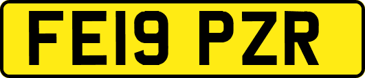 FE19PZR