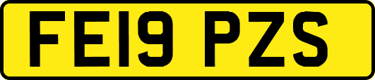 FE19PZS