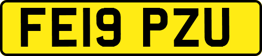 FE19PZU