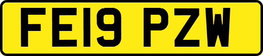 FE19PZW
