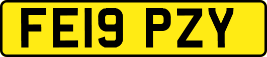 FE19PZY