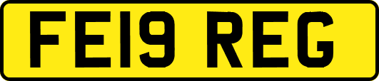 FE19REG