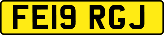 FE19RGJ