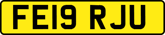 FE19RJU