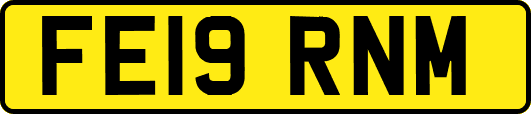 FE19RNM