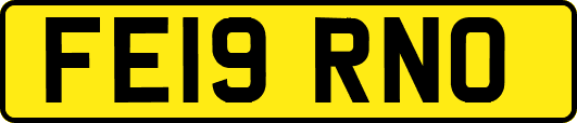 FE19RNO