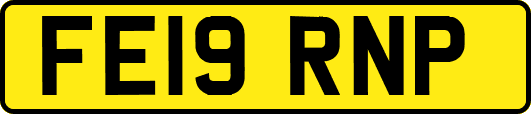 FE19RNP
