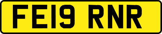 FE19RNR