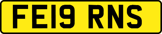 FE19RNS