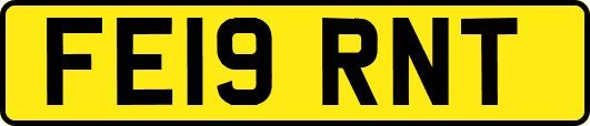 FE19RNT