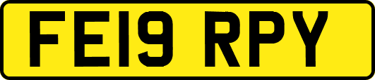 FE19RPY