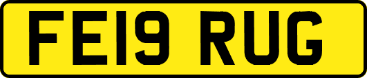 FE19RUG