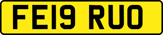 FE19RUO