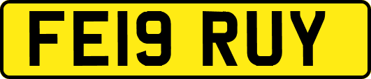 FE19RUY