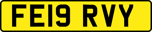 FE19RVY
