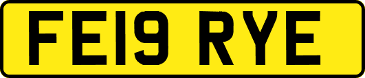 FE19RYE