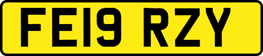 FE19RZY