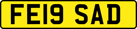 FE19SAD