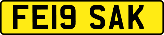 FE19SAK