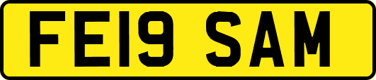 FE19SAM
