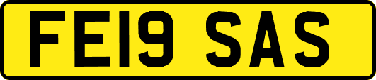 FE19SAS