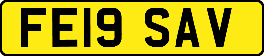 FE19SAV