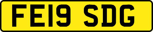 FE19SDG