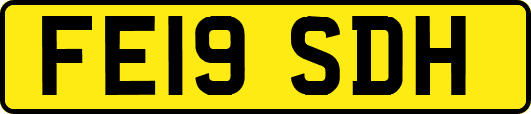 FE19SDH