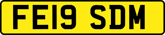 FE19SDM