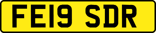 FE19SDR