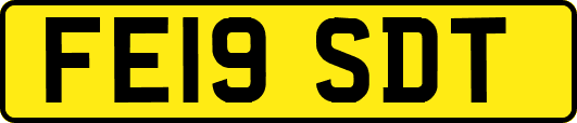 FE19SDT