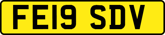 FE19SDV