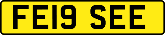 FE19SEE