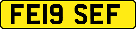 FE19SEF