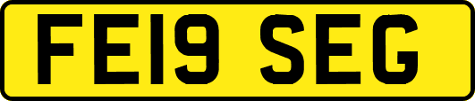 FE19SEG